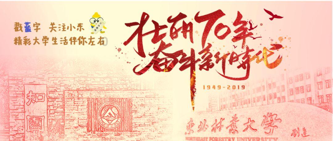 挑战14天不出门,家里只有白菜能做什么美食,教您做一碗荷包蛋面——高质量知识问答网页